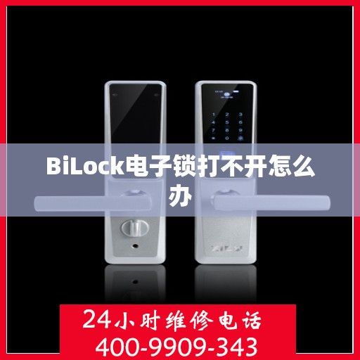 BiLock电子锁打不开怎么办