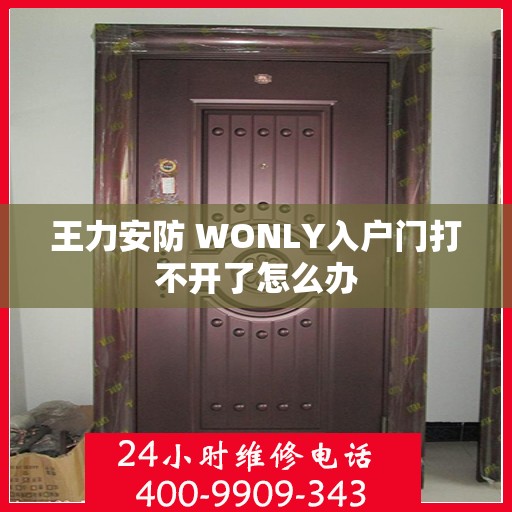 王力安防 WONLY入户门打不开了怎么办