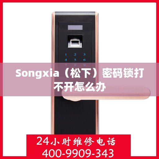 Songxia（松下）密码锁打不开怎么办