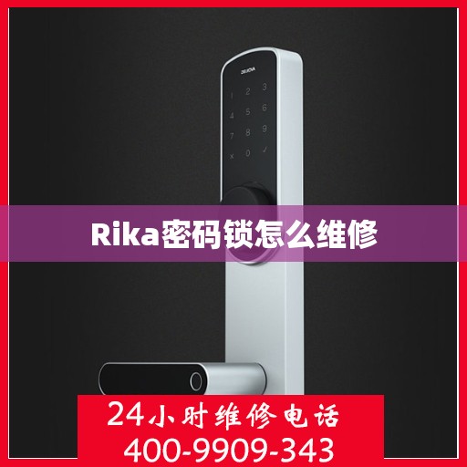 Rika密码锁怎么维修