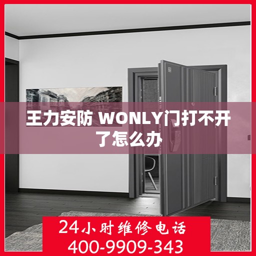 王力安防 WONLY门打不开了怎么办