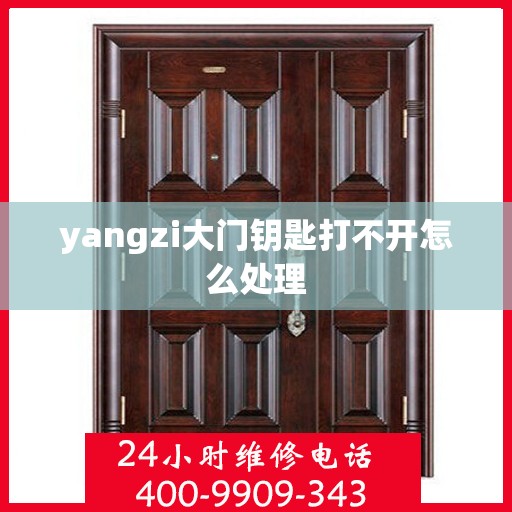 yangzi大门钥匙打不开怎么处理