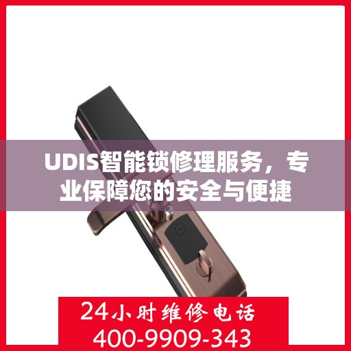 UDIS智能锁修理服务，专业保障您的安全与便捷