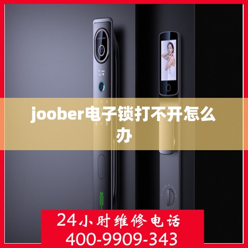 joober电子锁打不开怎么办