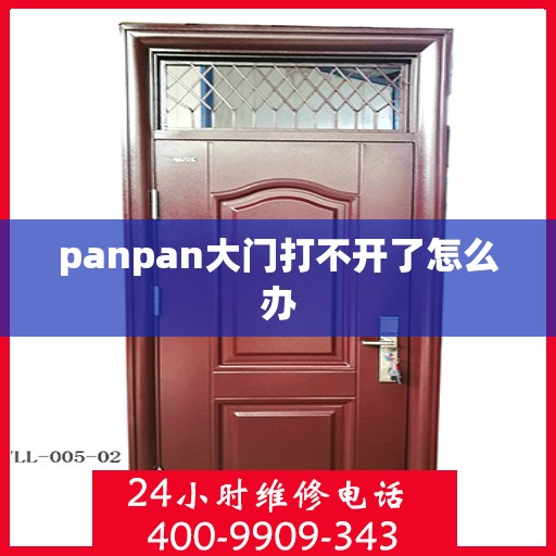 panpan大门打不开了怎么办