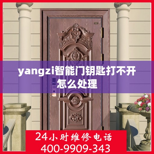 yangzi智能门钥匙打不开怎么处理