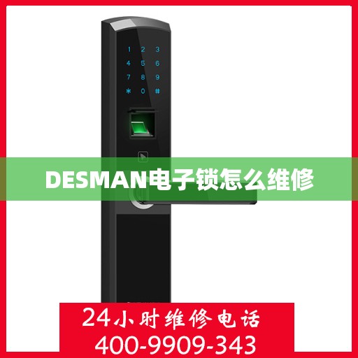 DESMAN电子锁怎么维修