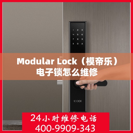 Modular Lock（模帝乐）电子锁怎么维修