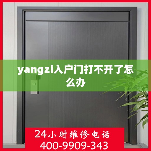 yangzi入户门打不开了怎么办