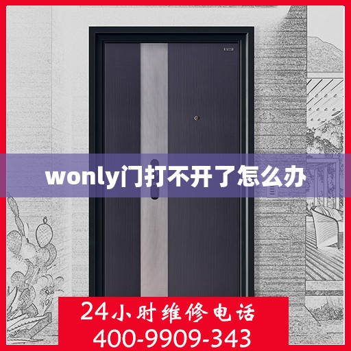 wonly门打不开了怎么办