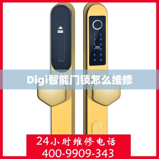 Digi智能门锁怎么维修