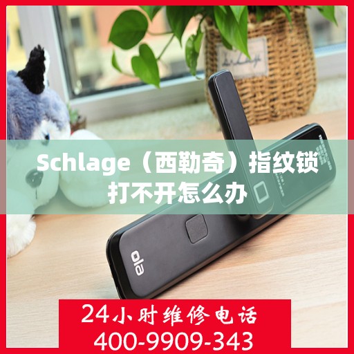 Schlage（西勒奇）指纹锁打不开怎么办