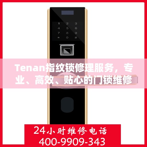 Tenan指纹锁修理服务，专业、高效、贴心的门锁维修之道