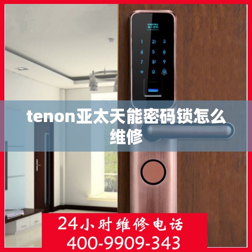 tenon亚太天能密码锁怎么维修