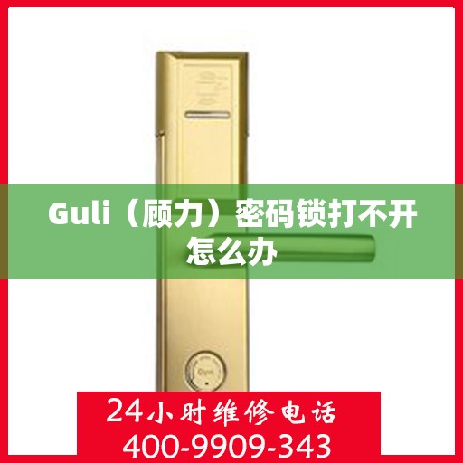 Guli（顾力）密码锁打不开怎么办