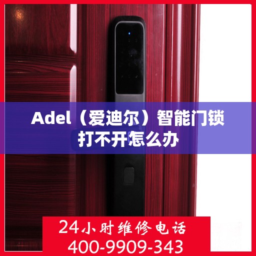 Adel（爱迪尔）智能门锁打不开怎么办