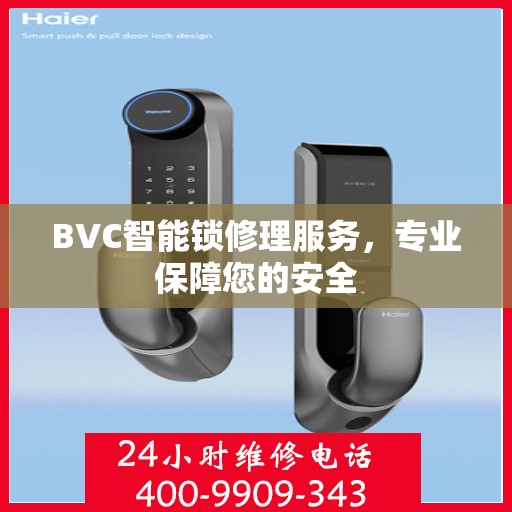 BVC智能锁修理服务，专业保障您的安全