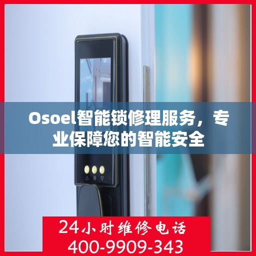 Osoel智能锁修理服务，专业保障您的智能安全