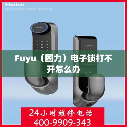 Fuyu（固力）电子锁打不开怎么办