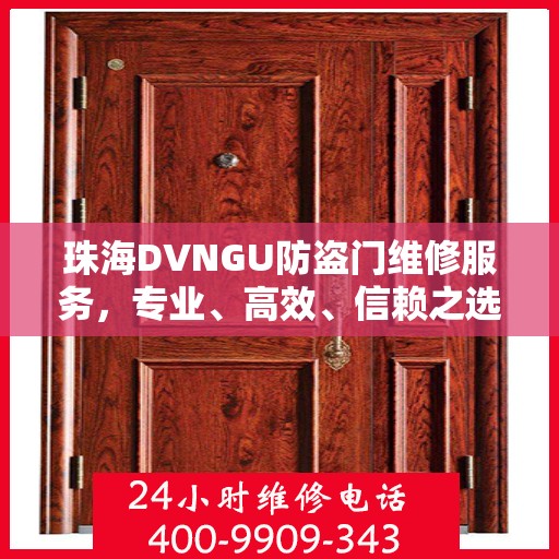 珠海DVNGU防盗门维修服务，专业、高效、信赖之选