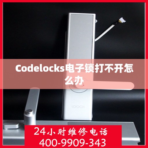 Codelocks电子锁打不开怎么办