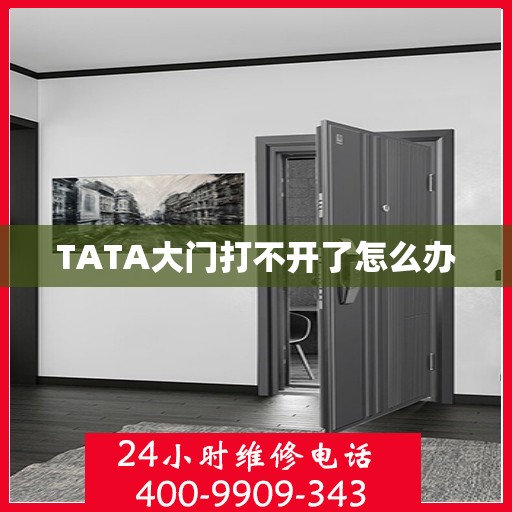 TATA大门打不开了怎么办