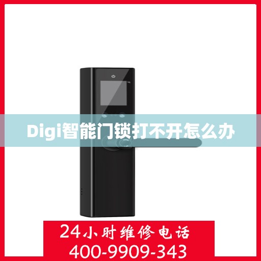 Digi智能门锁打不开怎么办