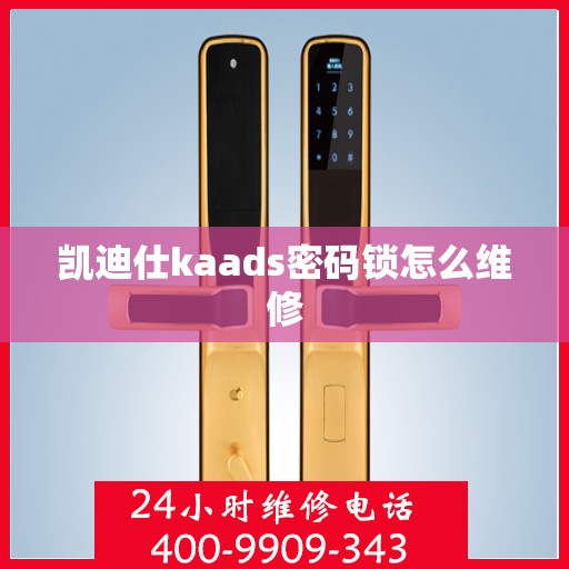 凯迪仕kaads密码锁怎么维修