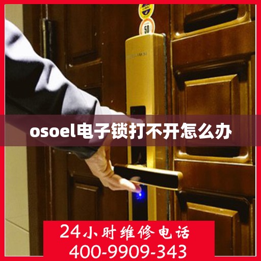 osoel电子锁打不开怎么办