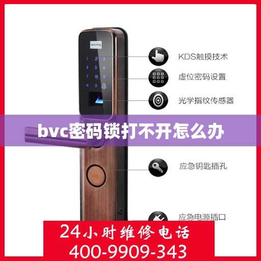 bvc密码锁打不开怎么办