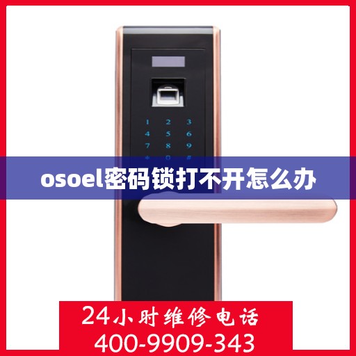 osoel密码锁打不开怎么办