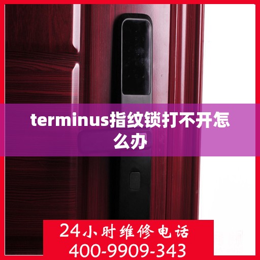 terminus指纹锁打不开怎么办