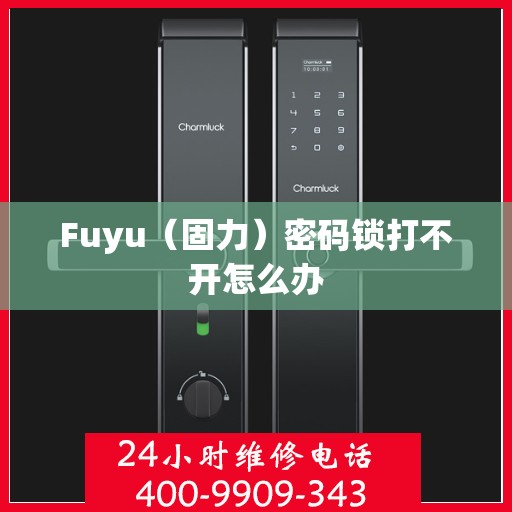 Fuyu（固力）密码锁打不开怎么办