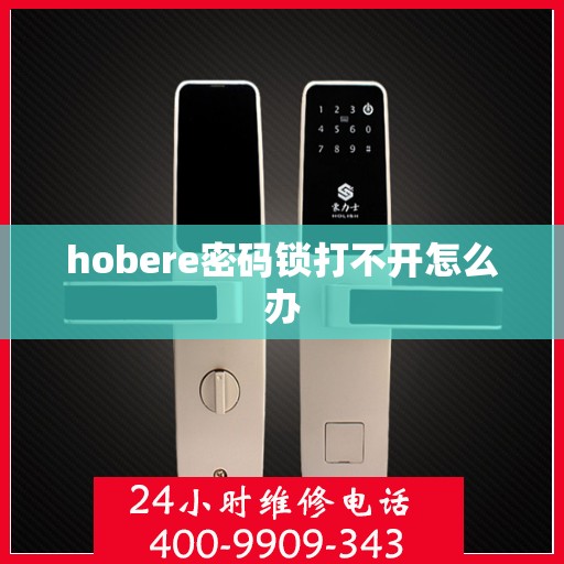 hobere密码锁打不开怎么办