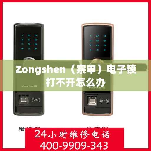 Zongshen（宗申）电子锁打不开怎么办