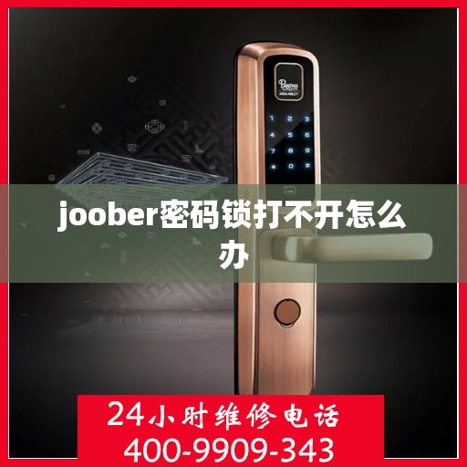 joober密码锁打不开怎么办