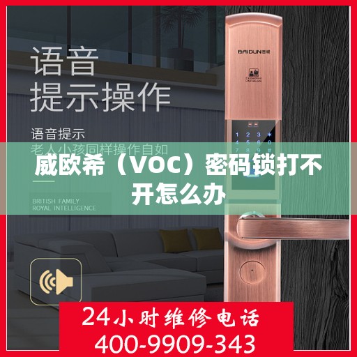 威欧希（VOC）密码锁打不开怎么办