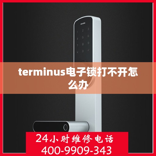 terminus电子锁打不开怎么办