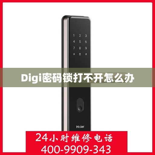 Digi密码锁打不开怎么办