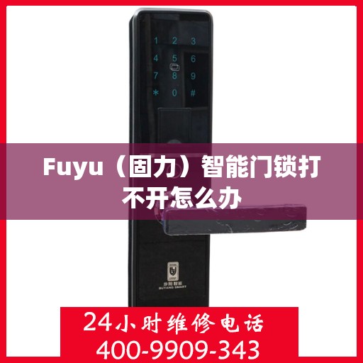 Fuyu（固力）智能门锁打不开怎么办