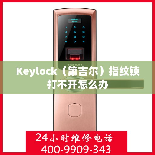 Keylock（第吉尔）指纹锁打不开怎么办