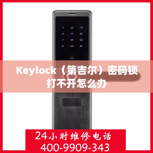 Keylock（第吉尔）密码锁打不开怎么办