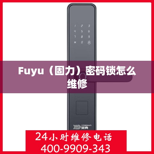 Fuyu（固力）密码锁怎么维修