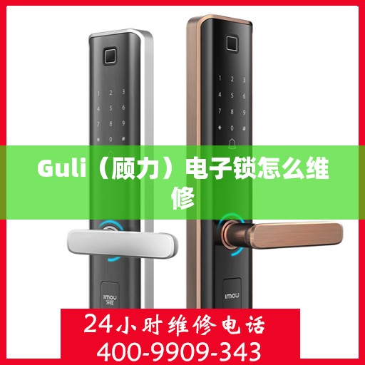 Guli（顾力）电子锁怎么维修