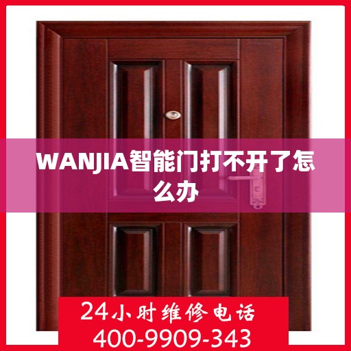 WANJIA智能门打不开了怎么办