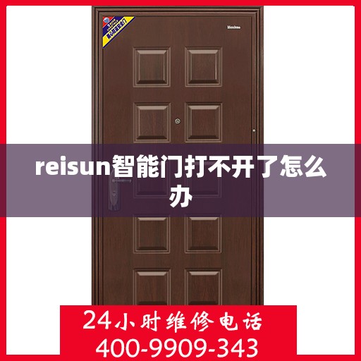 reisun智能门打不开了怎么办