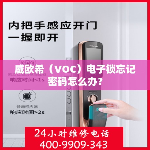 威欧希（VOC）电子锁忘记密码怎么办？