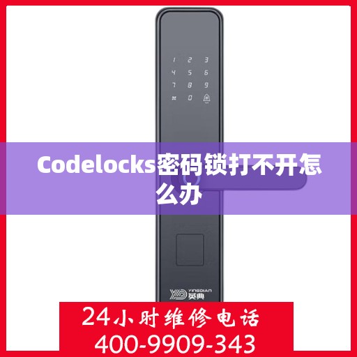 Codelocks密码锁打不开怎么办