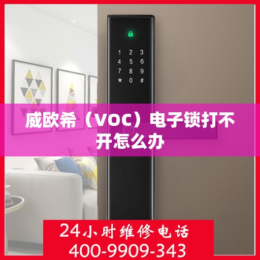 威欧希（VOC）电子锁打不开怎么办