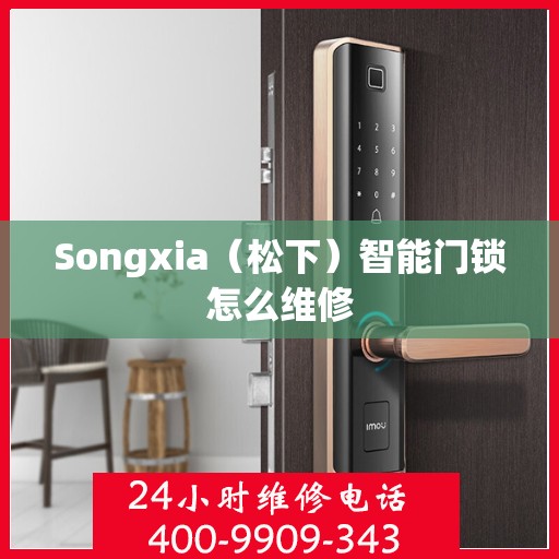 Songxia（松下）智能门锁怎么维修